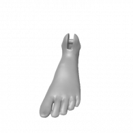 3d model - Altered Foot