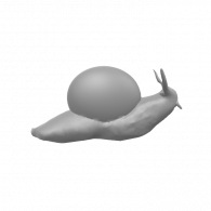 3d model - Snail