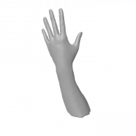 3d model - Arm