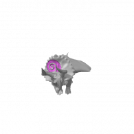 3d model - Triceratops