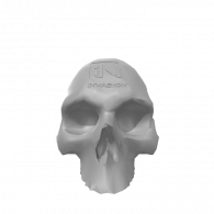 3d model - invasion head