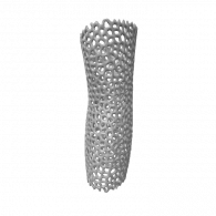 3d model - Voronoi-ArmProtesis