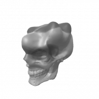 3d model - scull