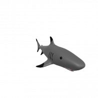 3d model - Shark with teeth