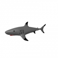 3d model - Shark-Nahomie