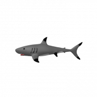 3d model - Shark