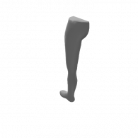 3d model - Leg 1