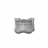 3d model - bottom teeth