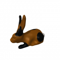 3d model - Bunny erin