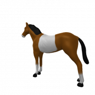 3d model - HORSEY!!