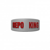 3d model - REPO