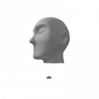 3d model - free head