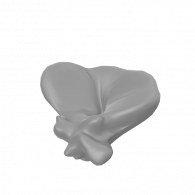 3d model - Bone Flower