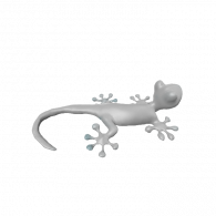 3d model - Kind Gecko