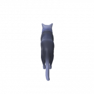 3d model - Cat