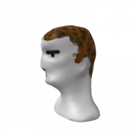 3d model - head