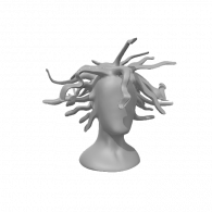 3d model - medusa