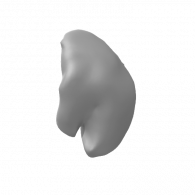 3d model - shell1