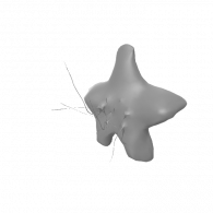 3d model - star