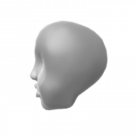 3d model - head sculpt 1